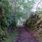 Pad langs Loch Oich